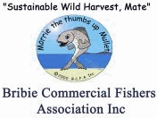 (QLD) Bribie Commercial Fishers Association Inc
